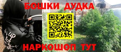 бошки Бийск