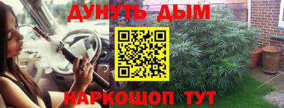 гидра Берёзовский