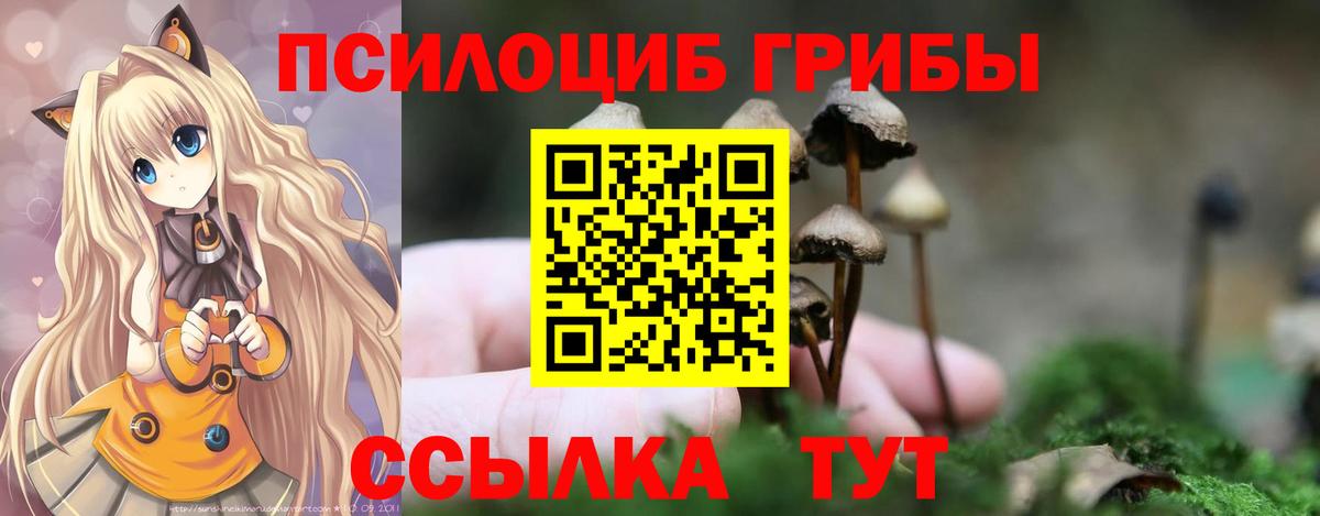 Кингисепп  Галлюциногенные грибы мицелий  Вход с VPN 