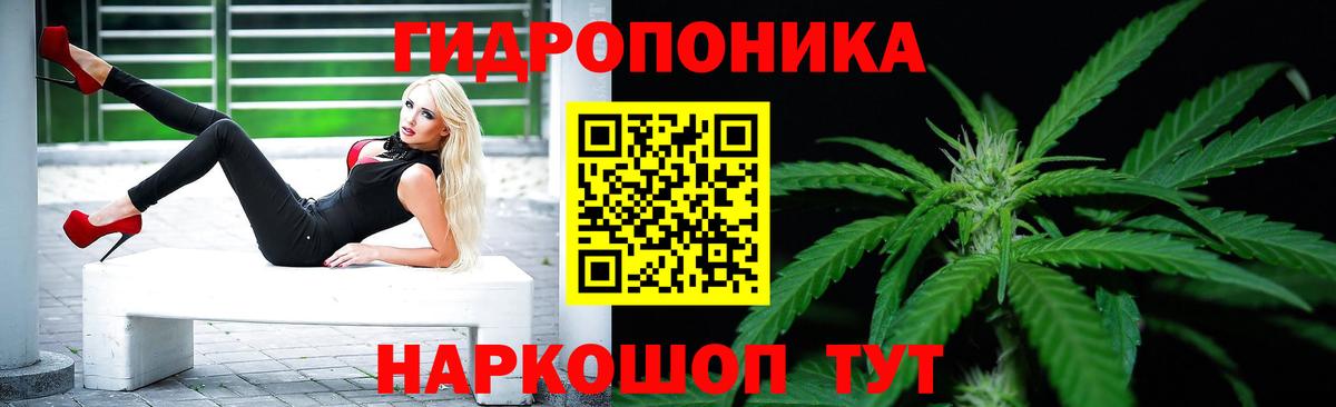 Бошки марихуана индика Кингисепп